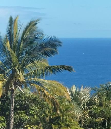 Ylang Ylang - Pension de famille - Saint-Leu