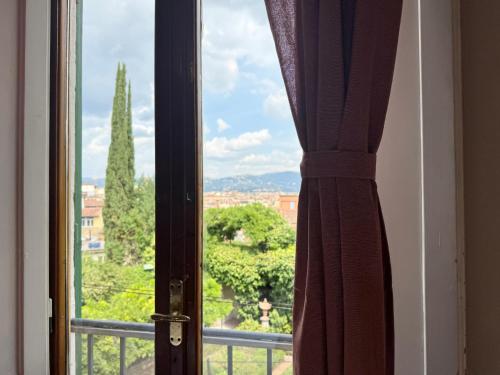 Magnoli 2 D - image 7