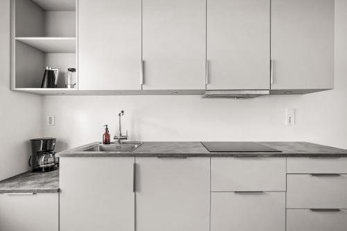 Light & Modern, City Apartment, Bergen (foto 2)