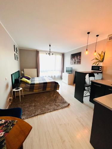 Charming studio Center of Krakow, Cracovie (photo 3)