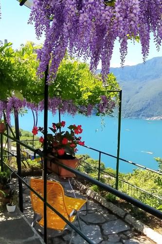 Il Glicine sul Lago gîte à louer Tronzano Lago Maggiore