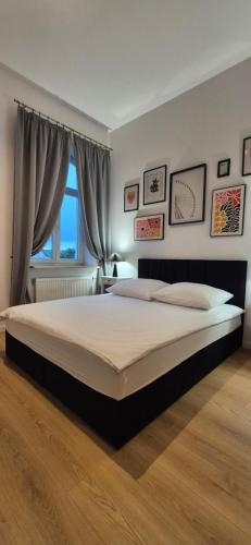 Apartamenty Sienkiewicza10