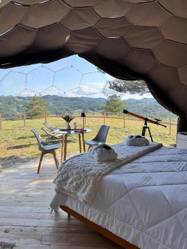 Bubble Room Experience in Casteldelci