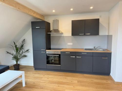 Ferienwohnung Siamblick in Lauscha