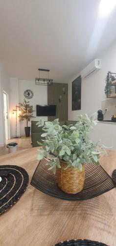 Barberito Dream Studio, Malaga (foto 7)
