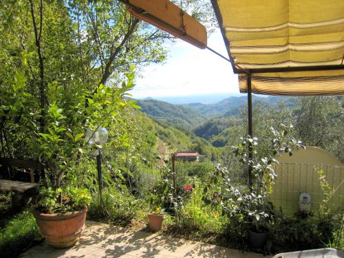 Garden, Cottage in Marliana with Private Pool in Lucca City Center
