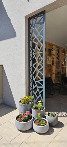 Guest House Family in Kaņiža