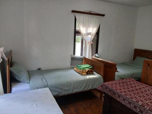 KAMENICA Stara Planina in Dimitrovgrad