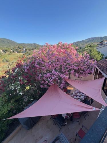 La Casa San Biaggio in Scudo