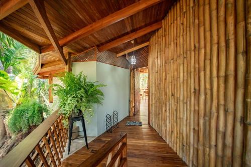 Samara Tarantela, Treehouse in Playa Samara