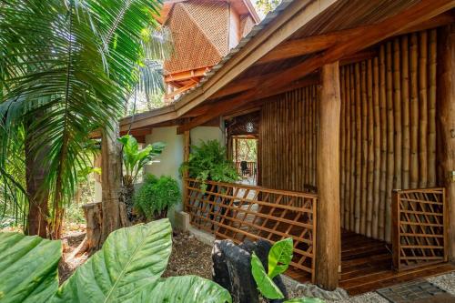Samara Tarantela, Treehouse in Playa Samara