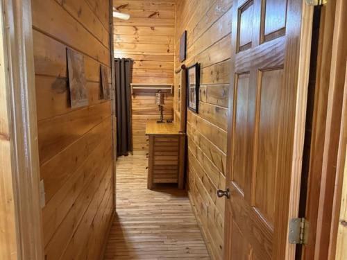 Skinny Dippin-River Front- Free Tickets-Dog Friendly in Pigeon Forge, USA