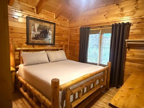 Skinny Dippin-River Front- Free Tickets-Dog Friendly in Pigeon Forge, USA