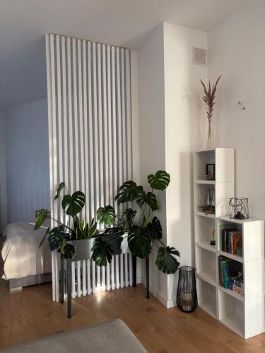 Apartament Loft & Go