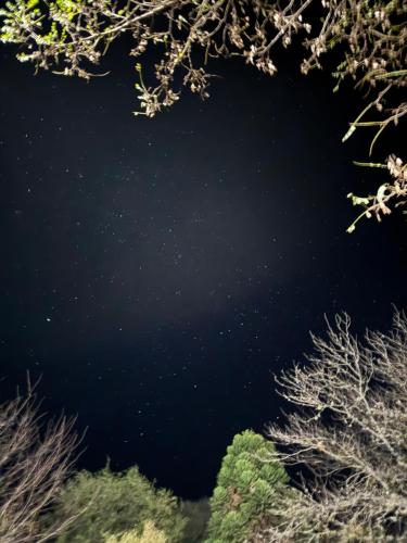 Cabaña Carmanqui (Cabana Carmanqui) in 阿爾帕哥拉爾