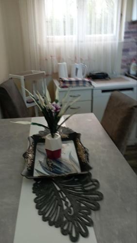 Vesna - image 2