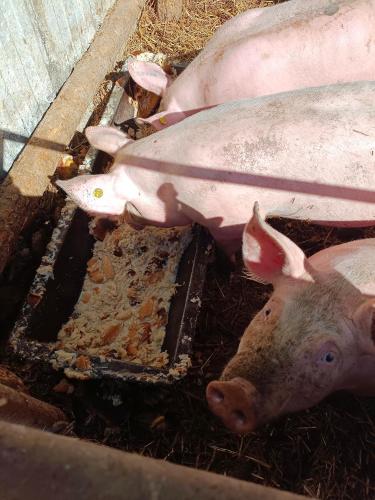 ferme pedagogique des pennetieres
