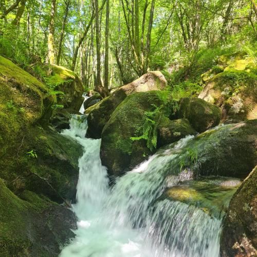 Villa Mallorquina gîte à louer Calvos