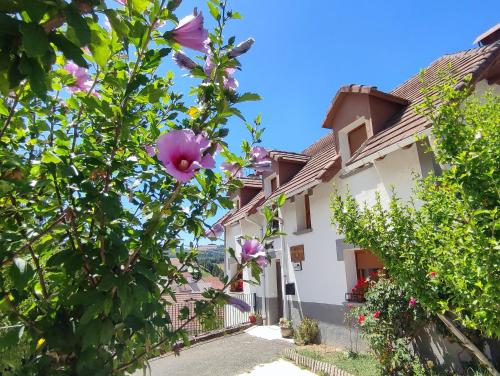 Casa Jabarde - Chalet - Jaurrieta