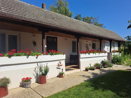  Haus Wegleitner in Apetlon