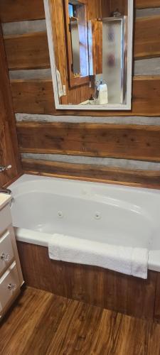 Eagle's Bluff Cabin in Savannah (TN)