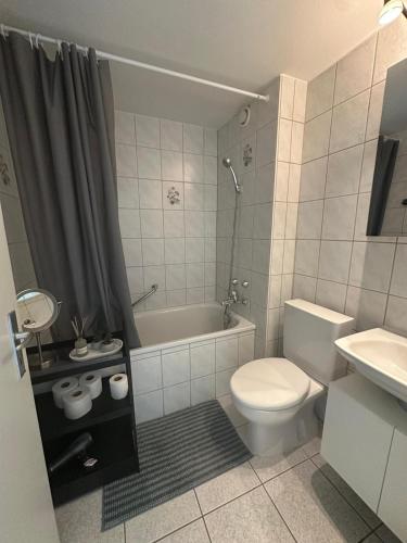 Business-Wohnung Messe Basel, Basilej (fotografie 7)