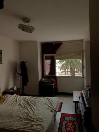 Résidence sara, Casablanca (photo 8)