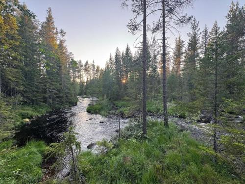 House near forest and water in Laggasen