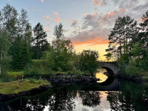 House near forest and water in Laggasen