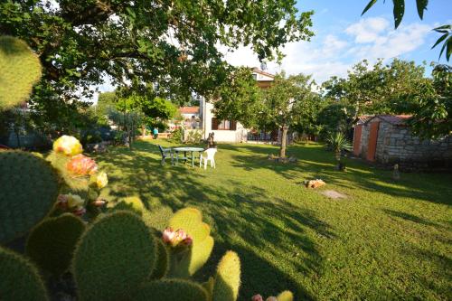  Apartments Nela in Buje