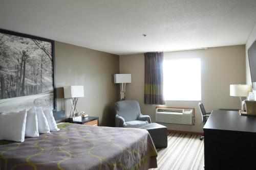 Watseka 24 Inn & Suites - 편의 시설/서비스