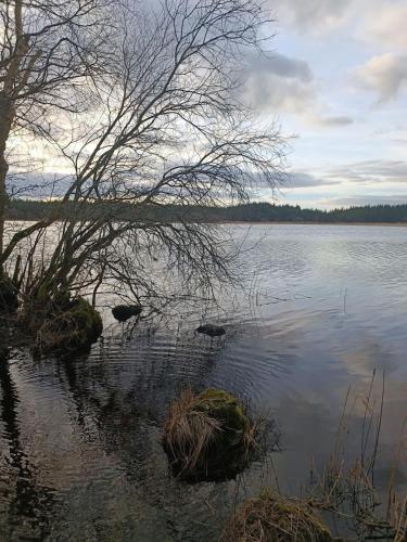 Kelly's Country Cottage in Roscommon