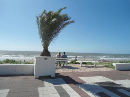 View, Halte71 in Zandvoort