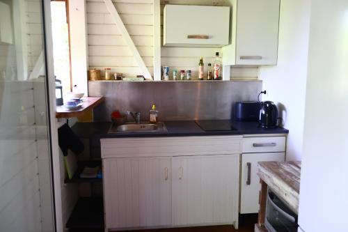 Avocatier in Mare Gaillard