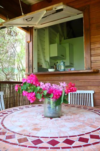 Avocatier in Mare Gaillard