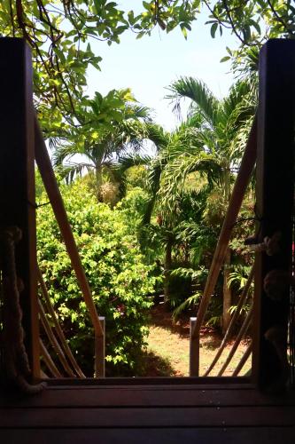 Avocatier in Mare Gaillard