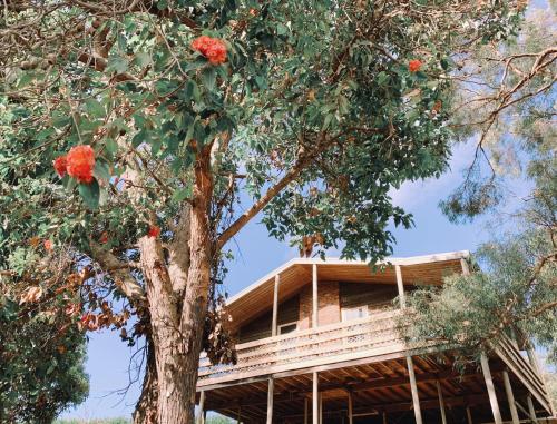 Iluka Retreat Glamping Village in Mornington Peninsula