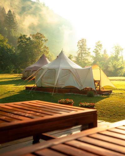 Glamping Gozdna Jasa