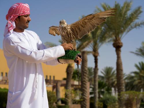Tilal Liwa Hotel