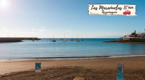 Nectarinas C1 by VillaGranCanaria - image 4