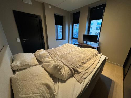 Luxury Apartment in City Center, Oslo (fotografie 3)