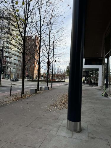 Luxury Apartment in City Center, Oslo (fotografie 5)