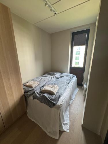 Luxury Apartment in City Center, Oslo (fotografie 7)