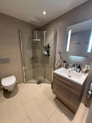 Luxury Apartment in City Center, Oslo (fotografie 8)