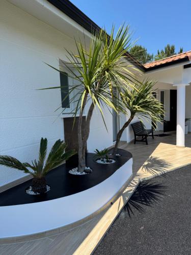 Villa Sany:10 Pers Maison 200m2 piscine , jacuzzi in 納羅塞