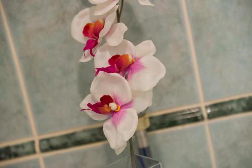 Studio Lapad Beach - image 7