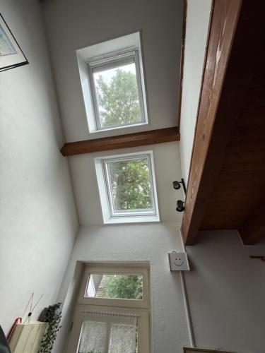 Landhaus up de Warft - Mühlenblick - image 2