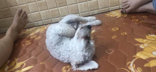 Nha nghi hao hao near Tran Thi Ly Bridge