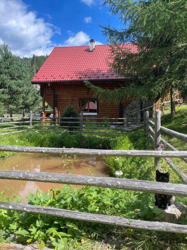 Садиба Урочище Луг, Worochta (zdjęcie 10)