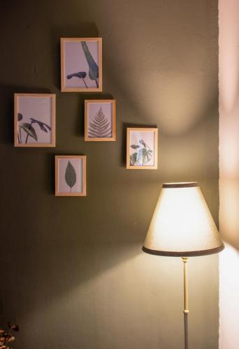 Olive Central, Craiova (photo 8)